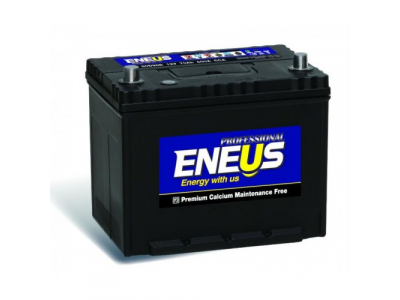 Аккумулятор 6ст - 105 (Eneus) Professional 311000Т винт.выводы